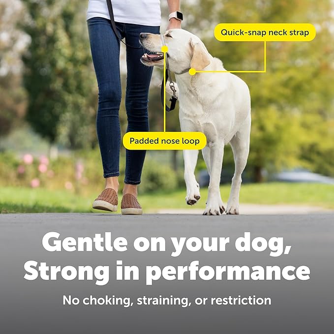 PetSafe Gentle Leader Headcollar No-Pull Dog Collar - Helps Improve Walks - Durable Nylon Construction - Padded Nose Loop - Adjustable Fit - Comfort Walking Halter - Medium, Apple Green