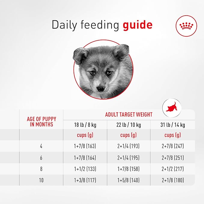 Royal Canin Corgi Puppy Dry Dog Food, Kibble for Corgis 2 to 12 Months, Supports Digestion and Bone and Joint Support 6 lb Bag