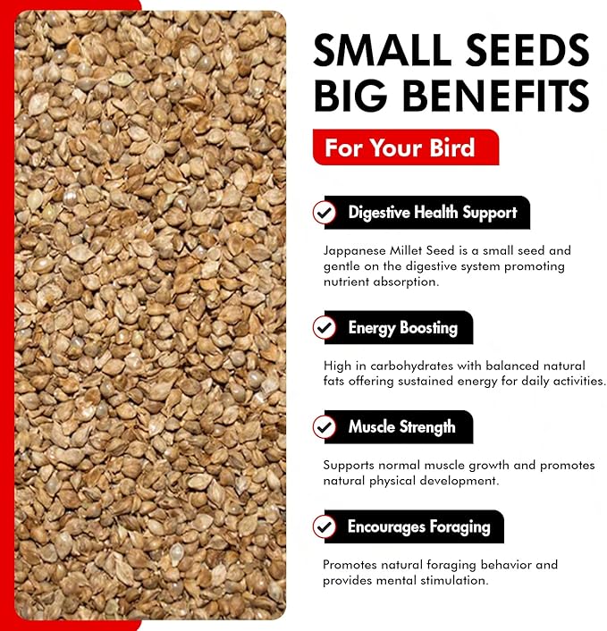 Morning Bird Japanese Millet Seed Bag 4.5 lbs (3-Pack, 1.5 lbs Each) - Healthy & Nutritious Pet Bird Food to Support Health & Immunity – Ideal Bird Feed for All Seed-Eating Birds