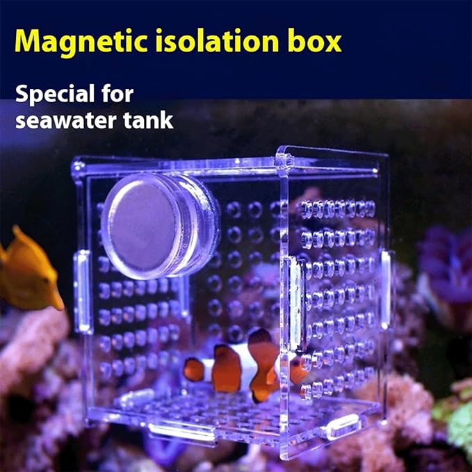 Acrylic Fish Breeding Box, Magnetic Fish Isolation Box Fish Separator for Aquarium Hatchery Incubator Tank for Baby Fishes Shrimp Clownfish Guppy (Medium, Normal Magnetic Model)