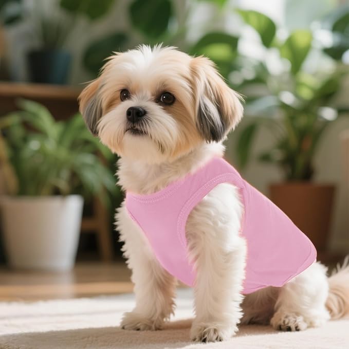 4 Pcs Cat Shirts Solid Color Dog Clothes Summer Sleeveless Pet T Shirts for Small Pet Dogs Cat (Black,Pink,Grey,Rose red, Small)