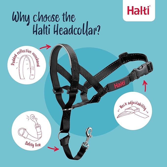 Halti Headcollar - Stop Your Dog Pulling on the Leash. Adjustable, Reflective and Lightweight, with Padded Nose Band. Dog Training Anti-Pull Collar for Small Dogs (Size 1, Black)