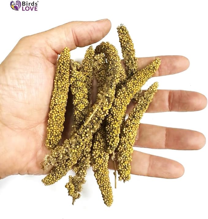 Birds LOVE Millet Tips & Tails for Birds - Parakeets, Cockatiels, Lovebirds, Budgies, Canaries, Cockatoos - Natural & Healthy Millet for Bird, Parakeet Food & Treats for All Parrots, 1lb (Pack of 25)