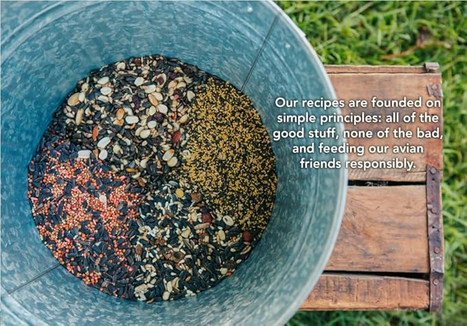 Classic Bird Seed (10 Pounds, Everyday Economy)