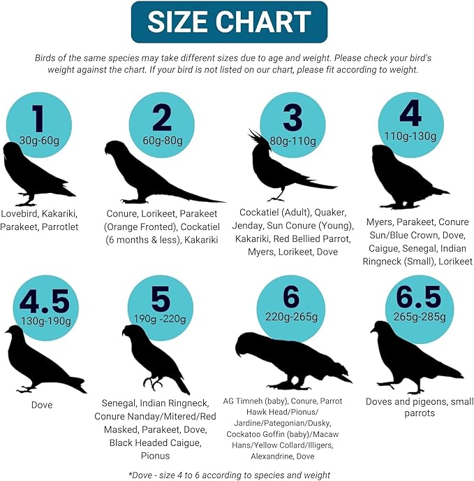 Bev's Bird Boutique Regular Flyper Adjustable Bird Diaper | Reusable, Washable Cloth | Comfort Fit for Parrot, Cockatiels, & Other Small Birds | Fashionable Avian Accessories, Tuxedo, Size 14
