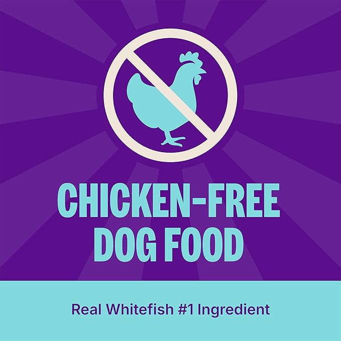 Wellness Complete Health Adult Dry Dog Food, Wholesome Grain Kibble, Natural, Chicken Free, Whitefish and Sweet Potato Recipe, 5 lb Bag