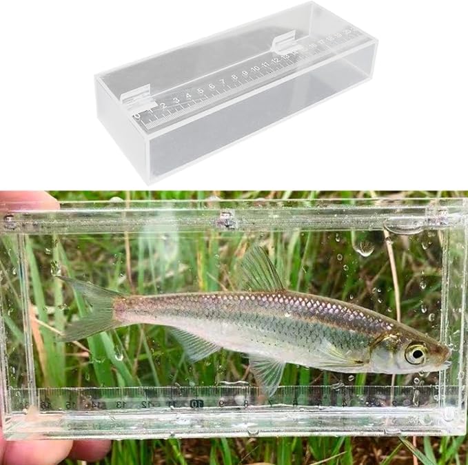 Aquarium Fish Isolation Box Portable Reusable Clear Acrylic Box with Scale Mini Aquariums Fish Breeding Tanks, 22x4.2x8cm
