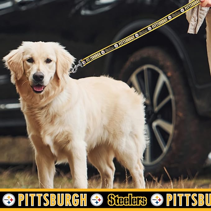 NFL PET Leash Pittsburgh Steelers Dog Leash, Medium Football Team Leash for Dogs & Cats. A Shiny & Colorful Cat Leash & Dog Leash Licensed by The NFL