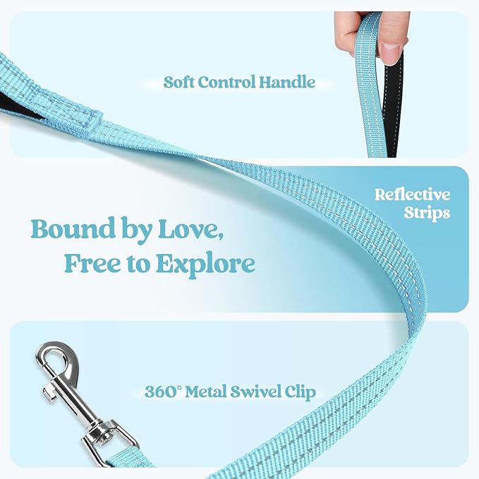 rabbitgoo Dog Harness Small Medium Sized and Leash Set, Step in Soft Light Puppy Vest, Breathable Mesh Pet Harness, Reflective for Safe Easy Walking, Mint Blue L