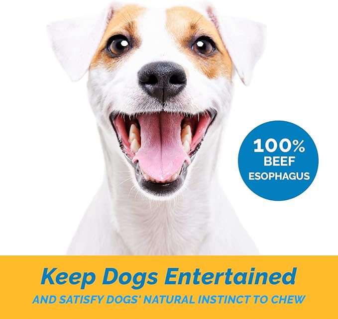 123 Treats Esophagus Dog Treats - (12 Inches - 20 Count) 100% Natural, Flat Gullet Sticks for Dogs, Beef Jerky Dog Treats Strips, NO Preservatives, Hormones, or Antibiotics