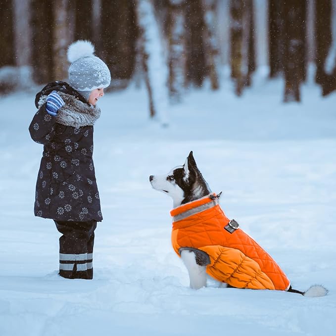 Lelepet Dog Coat Warm Dog Winter Coat Waterproof Dogs Jacket with Harness Built in Reflective Pet Fleece Vest Zip-Up Cold Weather Coats for Large Dogs Turtleneck Windproof Coats Boxer Blaze Orange XL