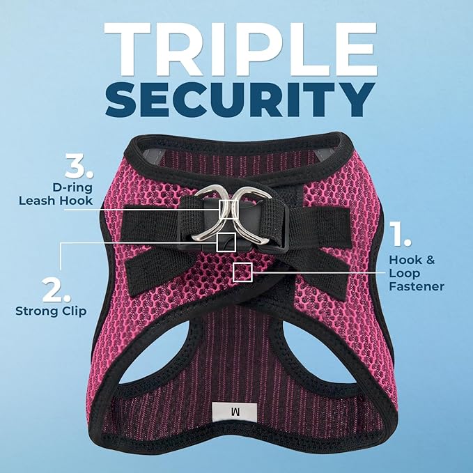 Best Pet Supplies Voyager Step-in Air Harness - All Weather Mesh, Reflective, No Pull Harness for Dogs, Cats - Secure with Hook & Loop Fastener, Buckle, Double D-Rings - Fuchsia 2-Tone, L