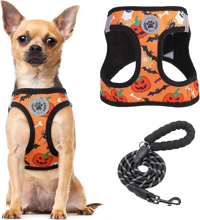 BEAUTYZOO Step in Dog Harness and Leash Set,Floral Pattern Reflective Dog Harness No Pull No Choke Puppy Harness for Small Dogs Cats,Soft Padded Mesh Vest Harnesses for Girl and Boy Pets,Halloween S