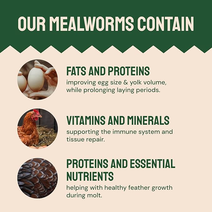 Hatortempt Dried Mealworms - Non-GMO & Organic - High-Protein Mealworms for Wild Bird Food, Ducks & Chickens (5lb)