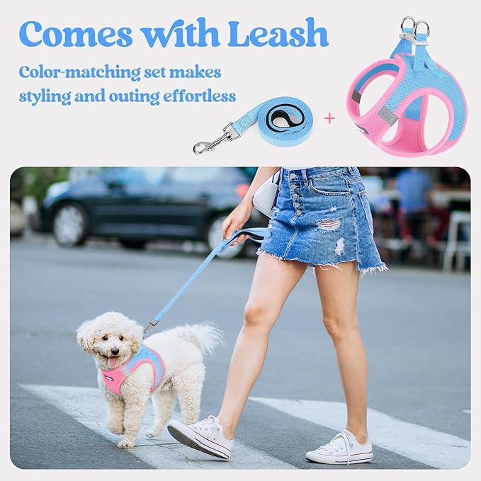 rabbitgoo Dog Harness Medium Sized and Leash Set, Step in Soft Light Puppy Vest, Breathable Mesh Pet Harness, Reflective for Safe Easy Walking, Blue & Light Pink XXL