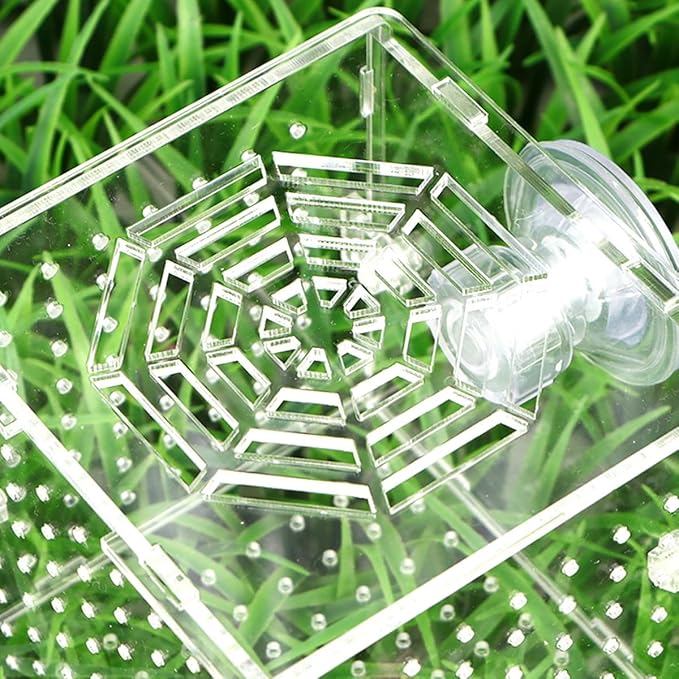 HOMSFOU Acrylic Fish Breeding Tank Box with 2mm Round Hole Suction Cup 10x10x10cm Isolation Aquarium Hatchery Incubator for Fish Fry and Betta Breeders