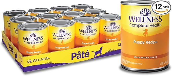 Wellness Complete Health Pate Puppy Canned Wet Dog Food, Wholesome Grains, Natural, Chicken and Salmon Recipe, 12.5 oz, Pack of 12 Cans
