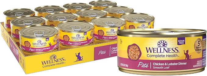 Wellness Complete Health Pate Adult Wet Cat Food, Natural, Protein-Rich, Grain Free, 5.5 Ounce, 24 Pack, (Chicken & Lobster)