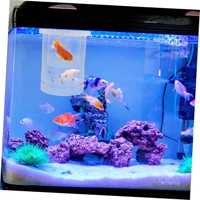 1 Set Fish Breeder Box: Fish Tank Breeding Isolation Box Plastic - Floating Hatchery Incubator for Guppy Betta Shrimps - Aquarium Divider