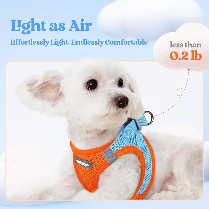 rabbitgoo Dog Harness Medium Sized and Leash Set, Step in Soft Light Puppy Vest, Breathable Mesh Pet Harness, Reflective for Safe Easy Walking, Blue & Orange XXL