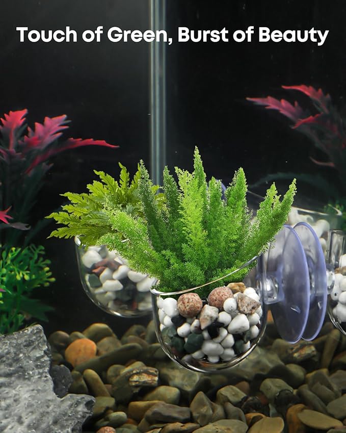 Pawfly 2 Pcs Aquarium Plant Holder, Fish Tank Plant Pot for Aquascape Decoration, Red Worm Fish Feeder, Aquarium Planter Cup with Suction Cup, Clear.