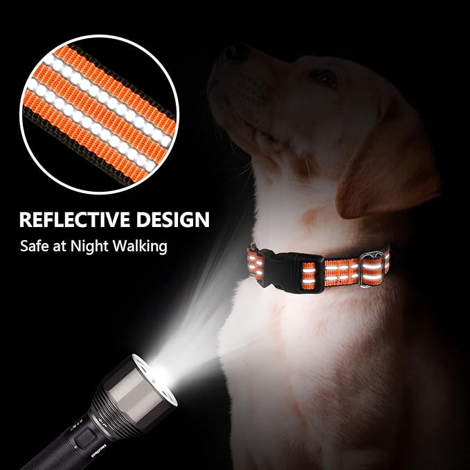 Hikiko Martingale Dog Collars Reflective Nylon Dog Collar with Quick Release Buckle Adjustable Training No Slip Dog Collar (Large, Orange)