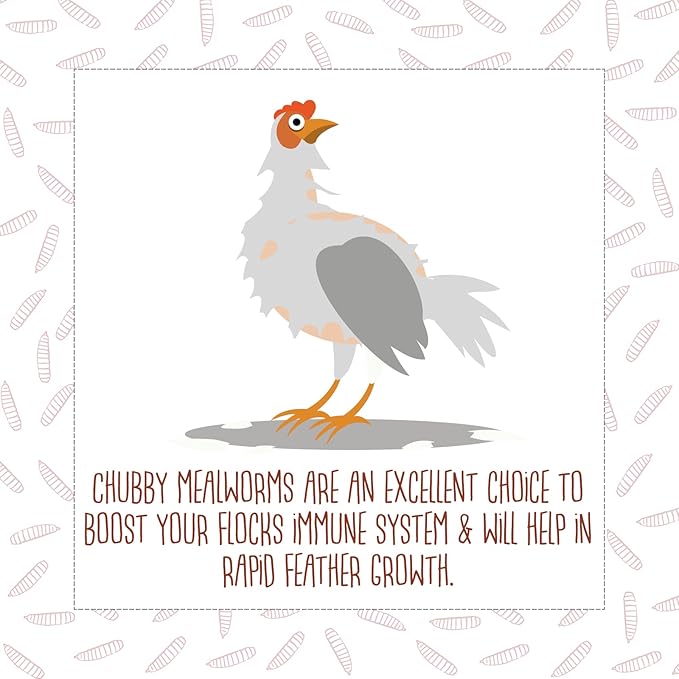 Chubby Dried Mealworms High-Protein Non-GMO Treats for Chickens, Ducks, Wild Birds & Backyard Pets