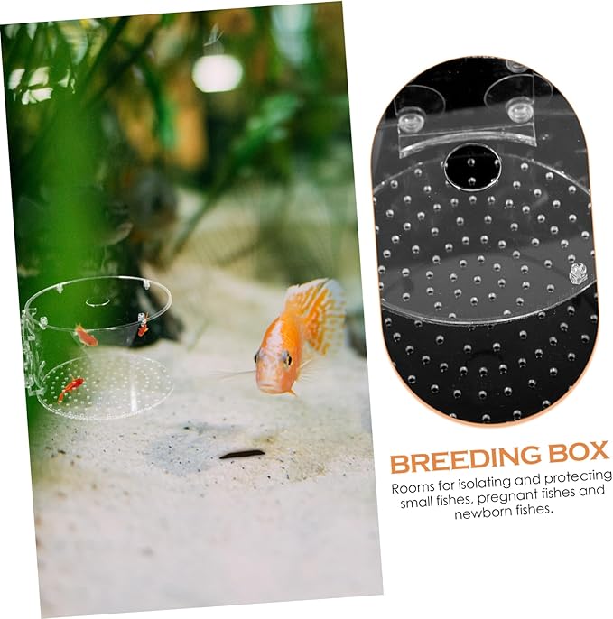 BESPORTBLE Fish Breeder Box Fish Breeding Tank for Isolation Lightweight Portable Aquarium Divider for Betta and Shrimp Easy to Install Design
