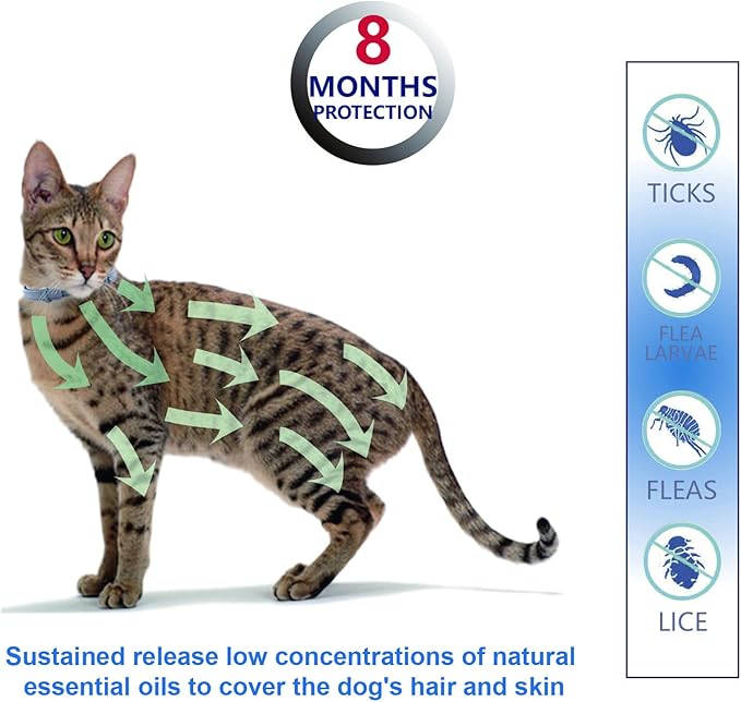 Natural Ingredients Flea Collar for Cats, Safe and Effective Flea and Tick Repellent, Waterproof, 8 Months Protection Each, Free Comb and Tick Scoop, One Size Fits All, 13.8 inch, 4-Pack