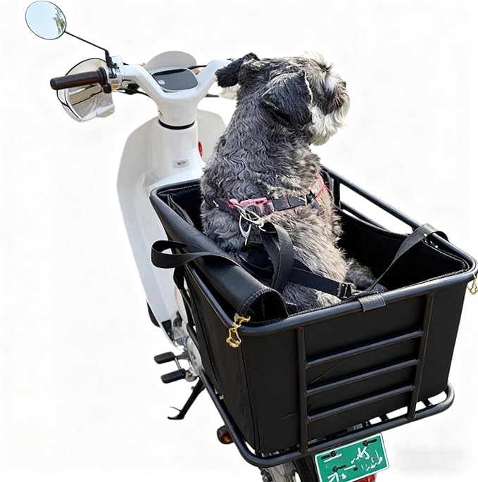 Bike Dog Carrier Rear Mount – Steel Pet Bicycle Basket with Padded Liner, Safety Tether & Strap Kit – Universal Rear Rack Dog Seat for Small Dogs/Cats