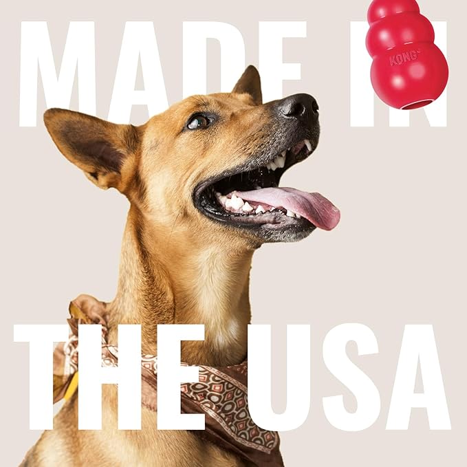KONG Flyer - Durable Dog Toy for Outdoor Playtime - Natural Rubber Flying Disc, Dog Toy for Fetch - Safer Disc for Healthy Activity - for Small Dogs