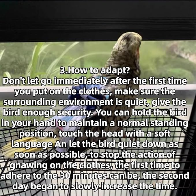 Bird Diaper Cockatiel Clothes Flight Suite, Reusable Parrot Nappy with Waterproof Inner Layer, Cute Pigeon Pants Urine Wet Suit Costume for Conure Macaw (Purple,2XL)