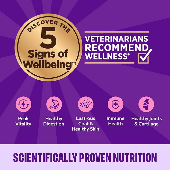 Wellness Complete Health Pate Adult Wet Cat Food, Natural, Protein-Rich, Grain-Free, 3 Ounce, 24 Pack, (Chicken & Turkey Variety Pack)