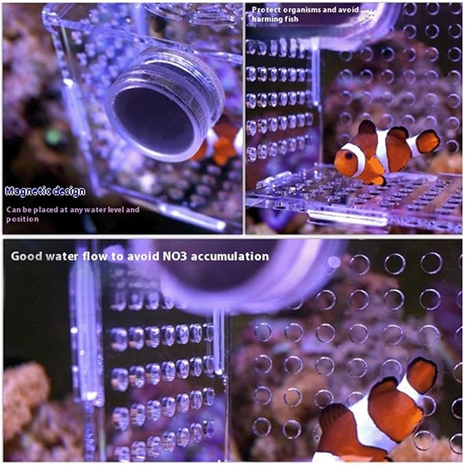 Acrylic Fish Breeding Box, Magnetic Fish Isolation Box Fish Separator for Aquarium Hatchery Incubator Tank for Baby Fishes Shrimp Clownfish Guppy (Medium, Reinforced Magnetic Model)