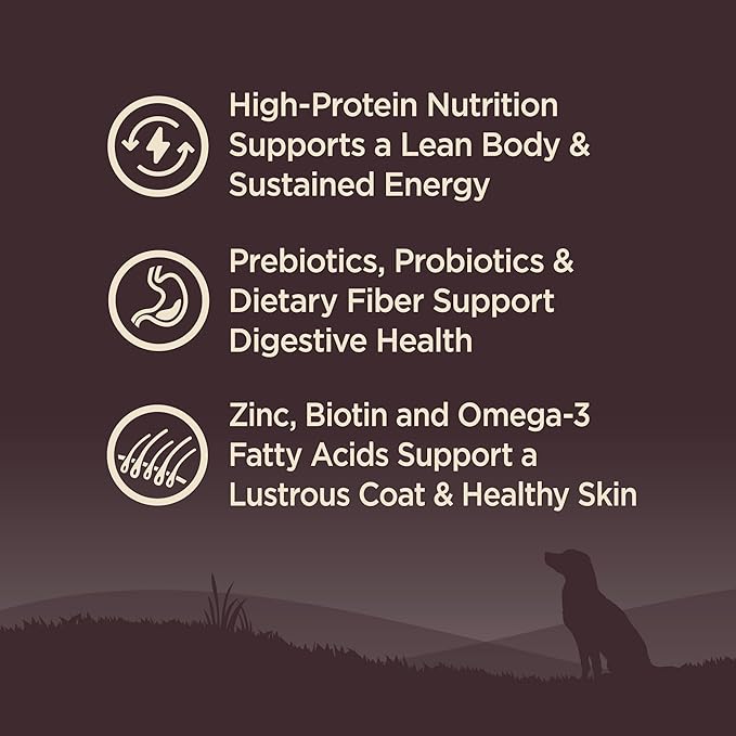 Wellness CORE Adult Dry Dog Food, Grain Free Kibble, Natural, High Protein, Lamb Recipe, 22 lb Bag