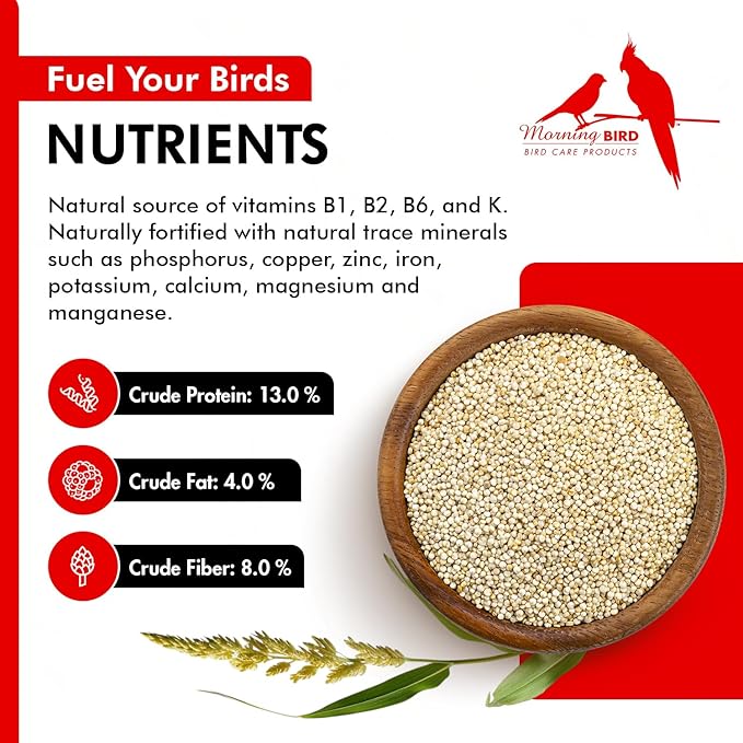 Morning Bird White Proso Millet 18 lbs (2-Pack, 9 lbs Each) Natural Bird Seed – Supports Feather Growth & Balanced Nutrition – High Energy Delicious Seed - Ideal for Finches, Parakeets & Pet Birds