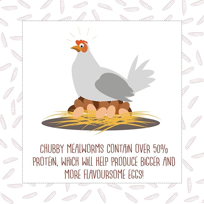 Chubby Dried Mealworms | 11 lbs | High-Protein Non-GMO Treats for Chickens, Ducks, Wild Birds & Backyard Pets