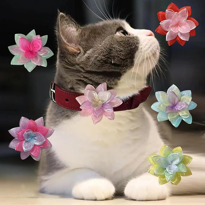 Dog Collar Flowers Accessories, 6 Pack Flower Charms for Dog & Cat Collars, Elastic Slide-On Decorative Flowers for Pet Collars