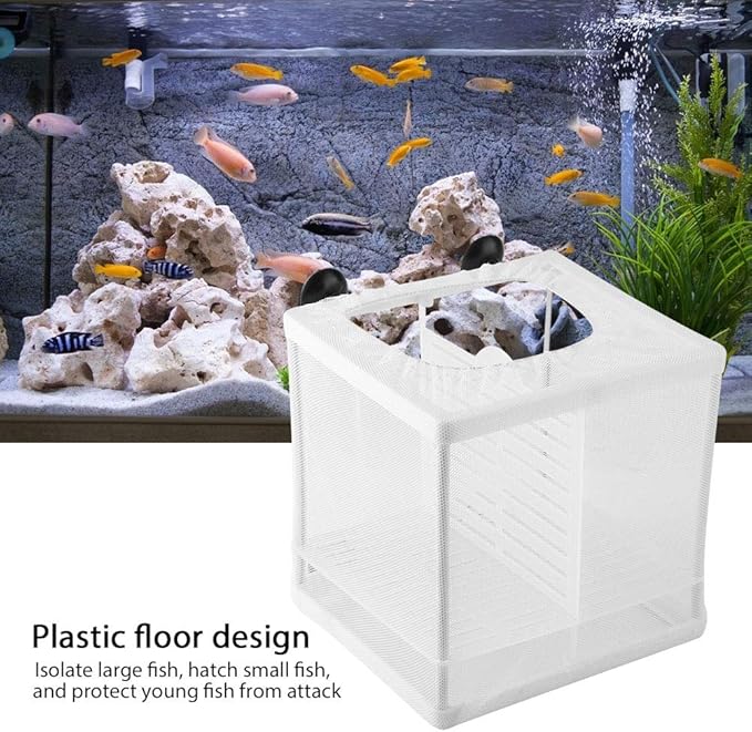 Fish Breeding Incubator, Fish Tank Breeder Net Multifunctional Isolation Mesh Box Fish Breeding Net Aquarium Fish Tank Incubator Breeder with Suction Cup for Fish Tank Breeder Box