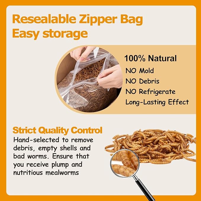 10LB Dried Mealworms, Non-GMO Meal Worms for Chickens & Birds, High Protein Chicken Feed, Natural Chicken Worms Ideal for Wild Birds, Reptile Tasty Bird Food