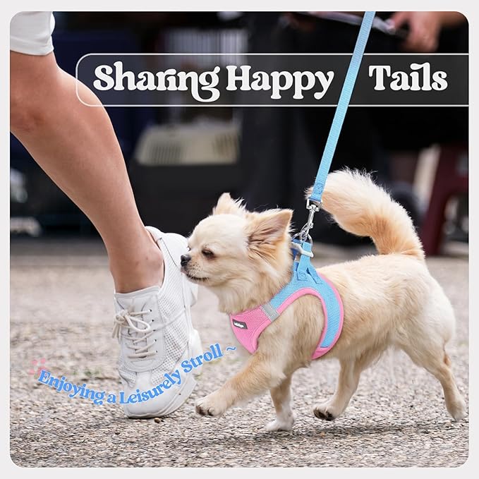 rabbitgoo Dog Harness Small Sized and Leash Set, Step in Soft Light Puppy Vest, Breathable Mesh Pet Harness, Reflective for Safe Easy Walking, Blue & Light Pink XS