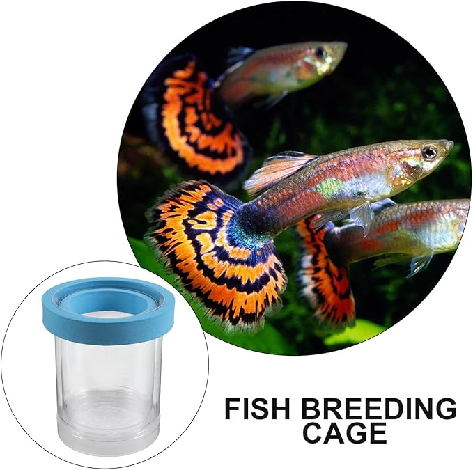 jojofuny 2pcs Floating Fish Tank Breeding Isolation Box Plastic Incubator Separator for Aquarium Guppy Fry Hatching and Betta Fish Breeder