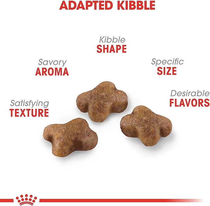 Royal Canin Feline Health Nutrition Kitten Dry Cat Food, 3 lb Bag