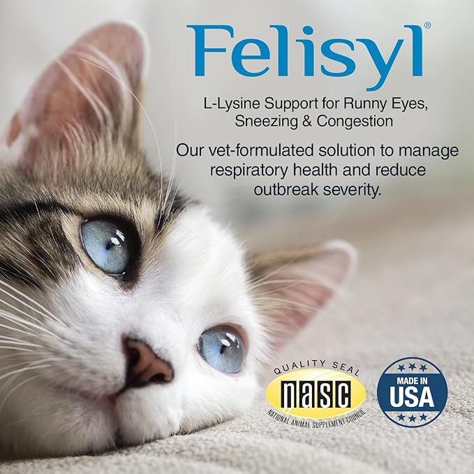 L-Lysine Gel for Cats & Kittens (5oz) – Immune System, Respiratory & Eye Health Support. Reduces Sneezing, Runny Nose & Watery Eyes. Daily Salmon-Flavor Supplement – Made in USA (2 Pack)