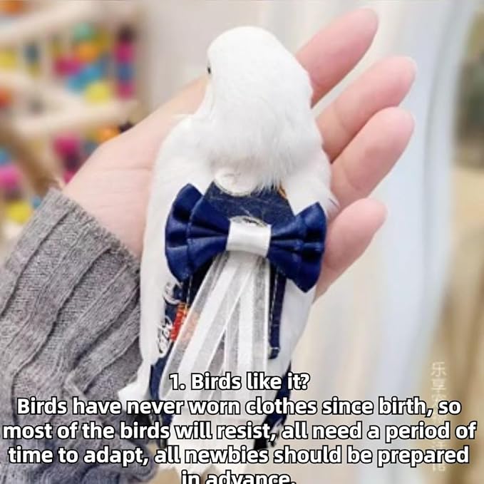 Bird Diaper Cockatiel Clothes Flight Suite, Reusable Parrot Nappy with Waterproof Inner Layer, Cute Pigeon Pants Urine Wet Suit Costume for Conure Macaw (Blue C,2XL)