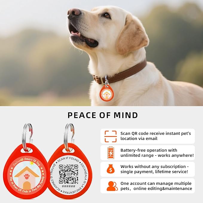 2 Pack Personalized Dog Tags,QR Code Pet ID Tags with Online Profile systerm,Editable Any Names and Phone numbles,Blue&Pink,L