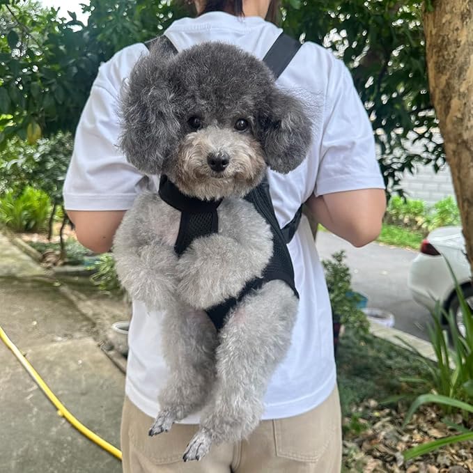 Pet Dog Carrier Backpack, Portable Breathable Mesh Chest Carrier, Polyester Woven Double Shoulder Pet Bag for Outdoor Adventures (Black, Large)