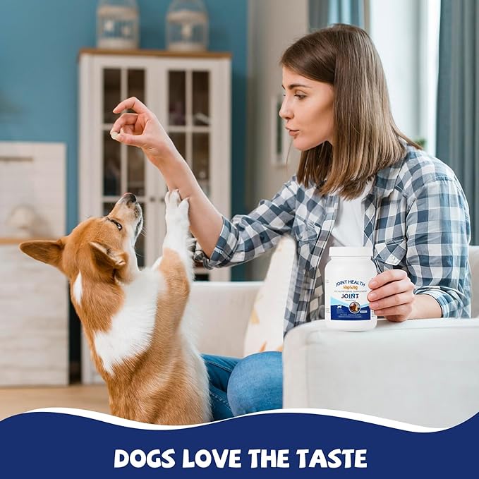 Hip and Joint Care Supplement with Glucosamine, Chondroitin, MSM for All Breeds and Ages Dogs - Chicken Flavor - 100 Chews