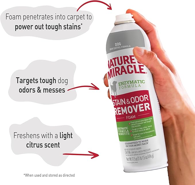 Nature's Miracle Stain & Odor Remover Foaming Aerosol For Dogs, 17.5 Oz (P-68340)