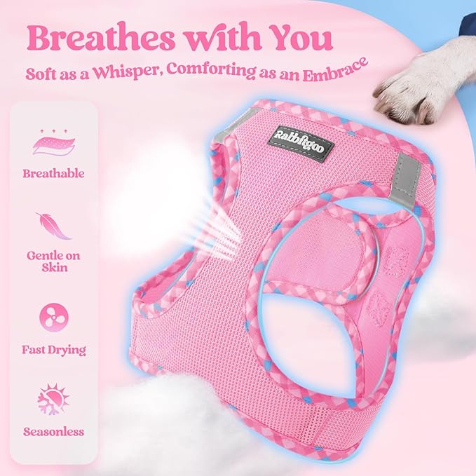 rabbitgoo Dog Harness Small Sized and Leash Set, Step in Soft Light Puppy Vest, Breathable Mesh Pet Harness, Reflective for Safe Easy Walking, Pink & Plaid Trim XS